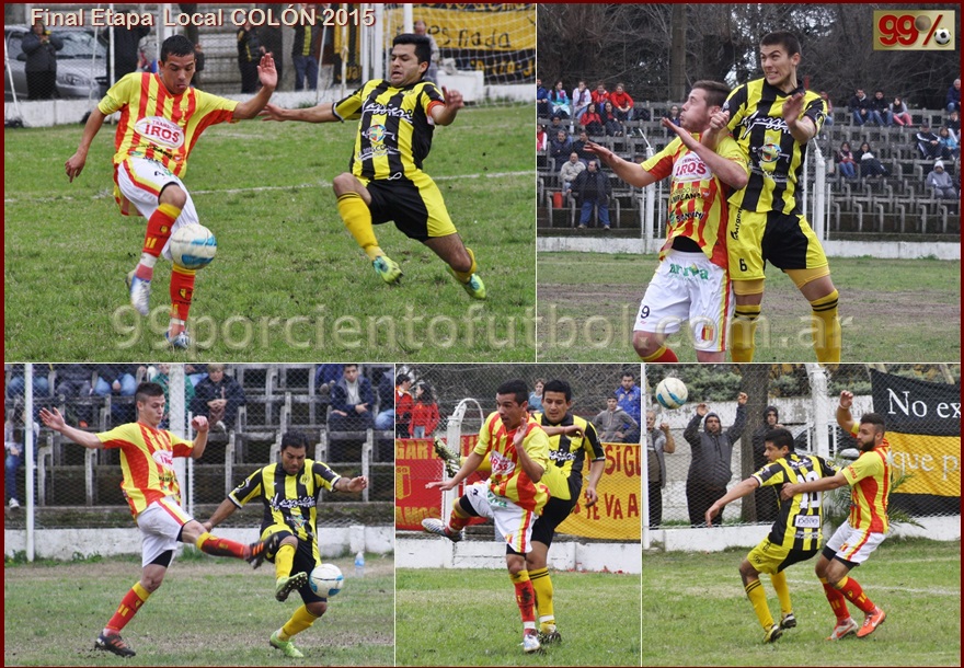 colon-8