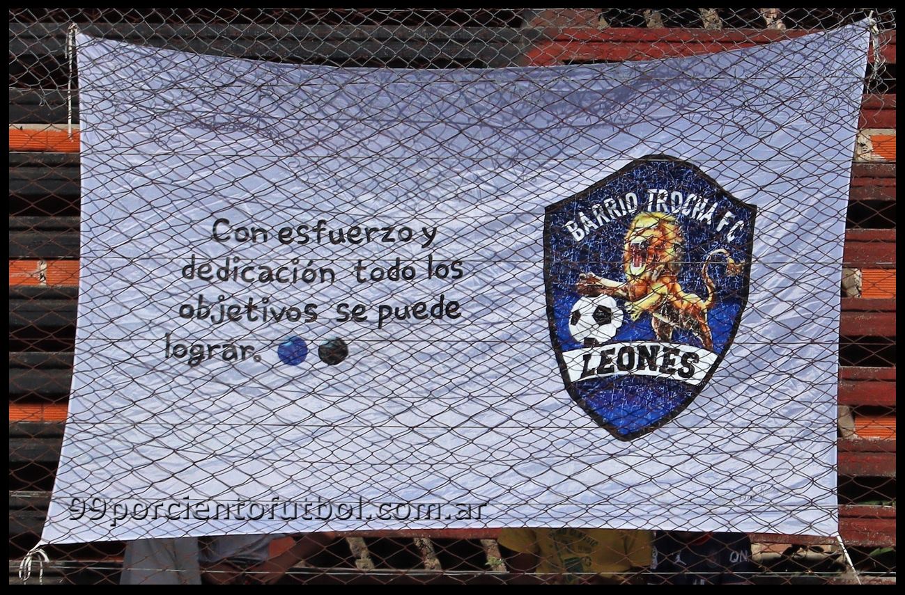 leones 7